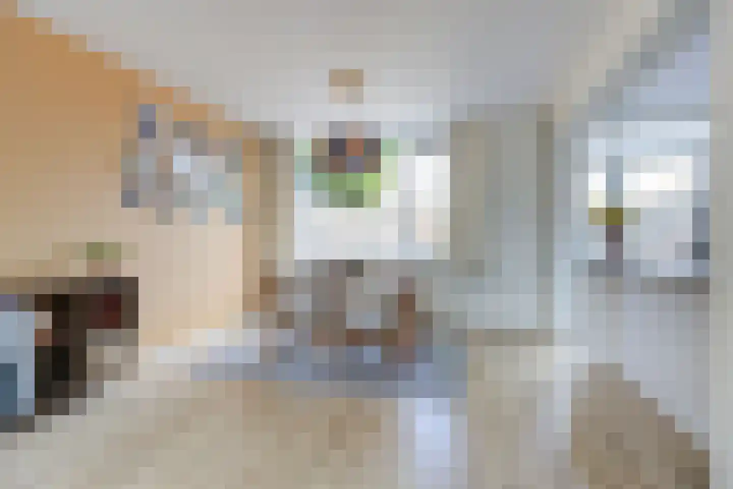 Tolhuislaan 14 Etten-Leur thumbnail 12
