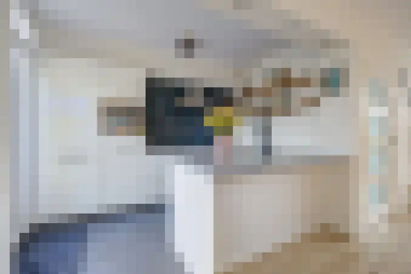 Tolhuislaan 14 Etten-Leur thumbnail 15