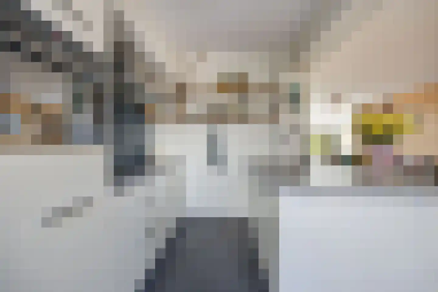 Tolhuislaan 14 Etten-Leur thumbnail 16