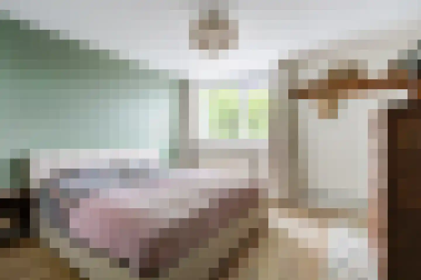 Tolhuislaan 14 Etten-Leur thumbnail 20