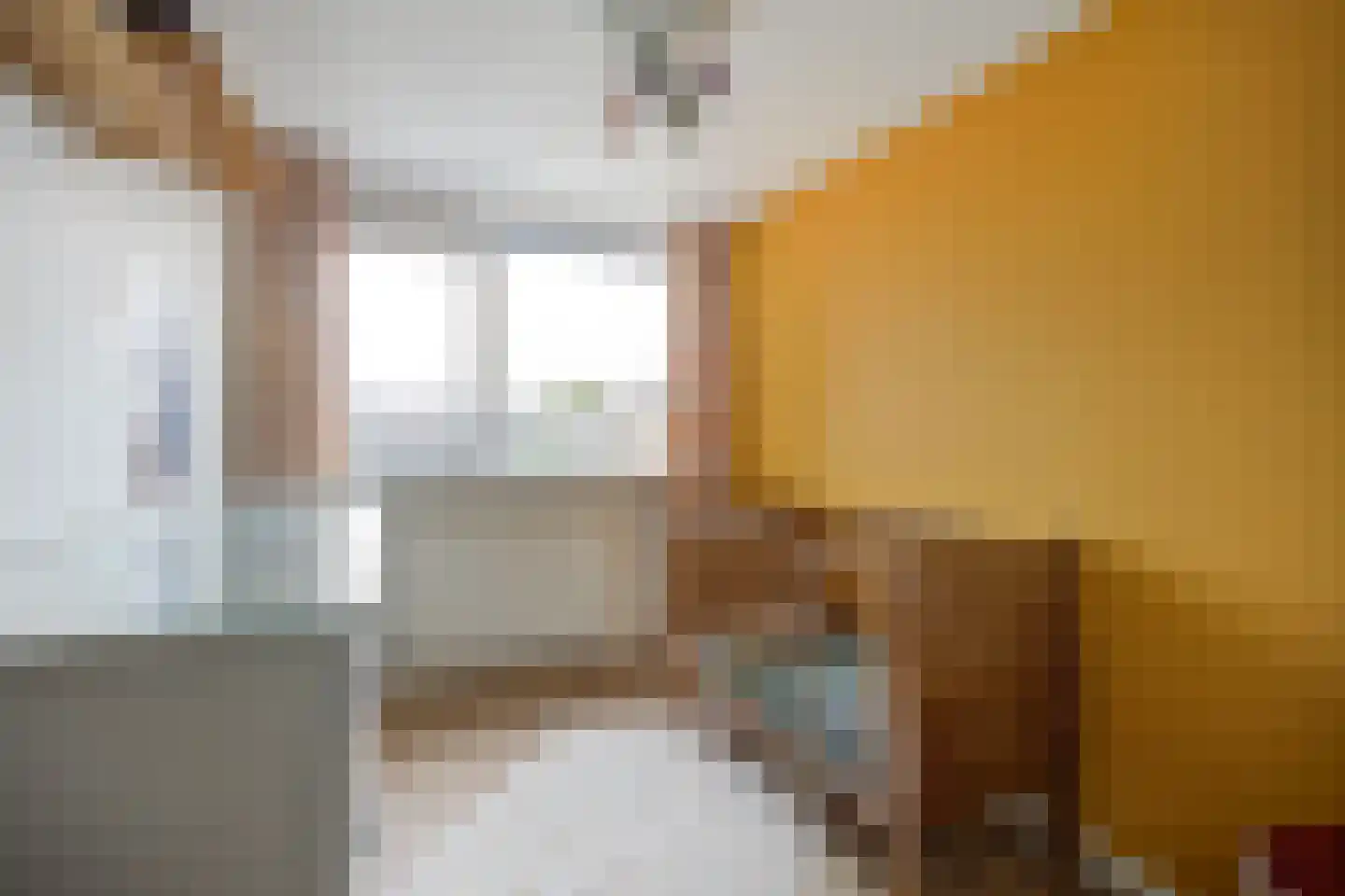 Tolhuislaan 14 Etten-Leur thumbnail 24