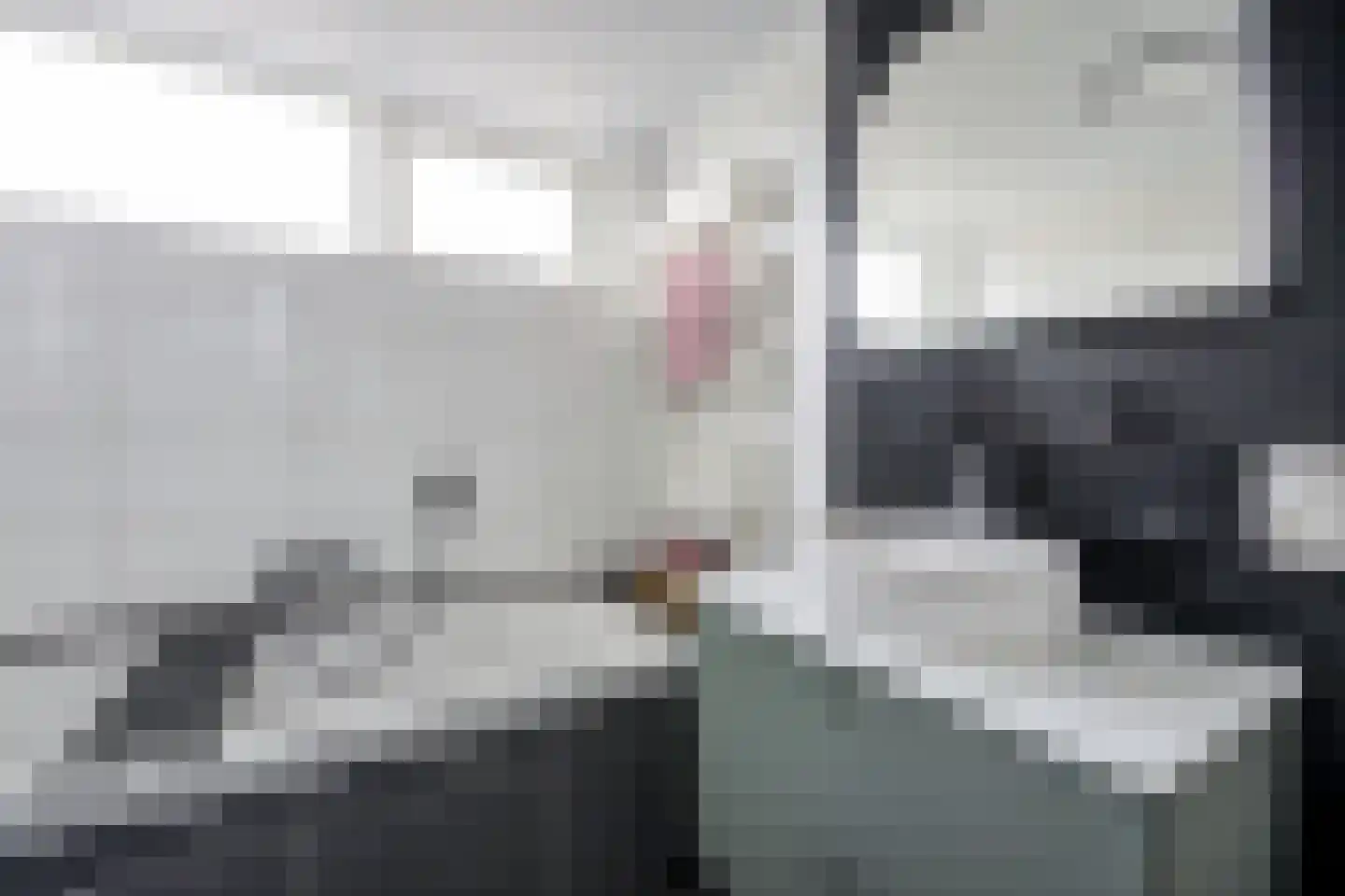 Tolhuislaan 14 Etten-Leur thumbnail 26