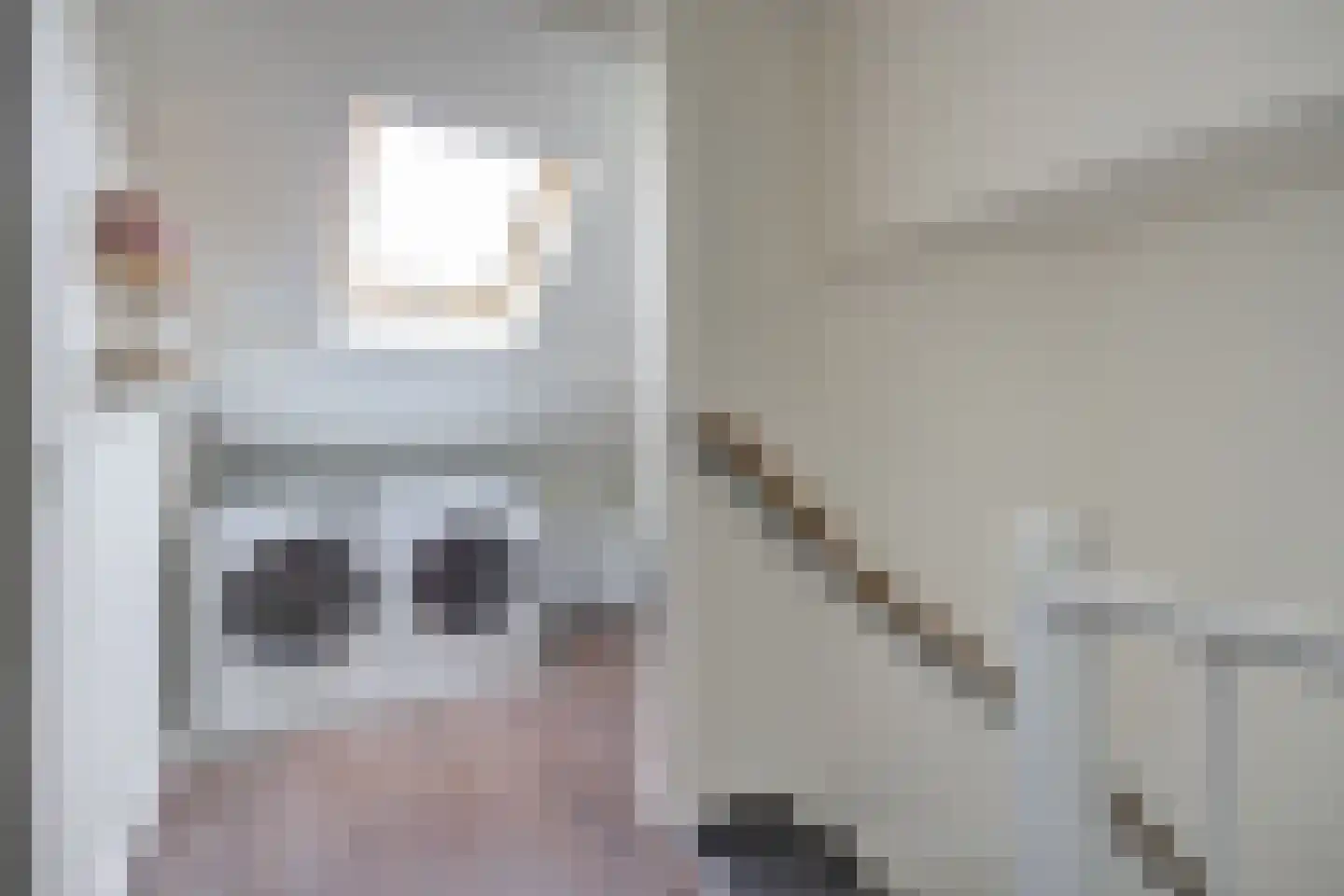 Tolhuislaan 14 Etten-Leur thumbnail 30