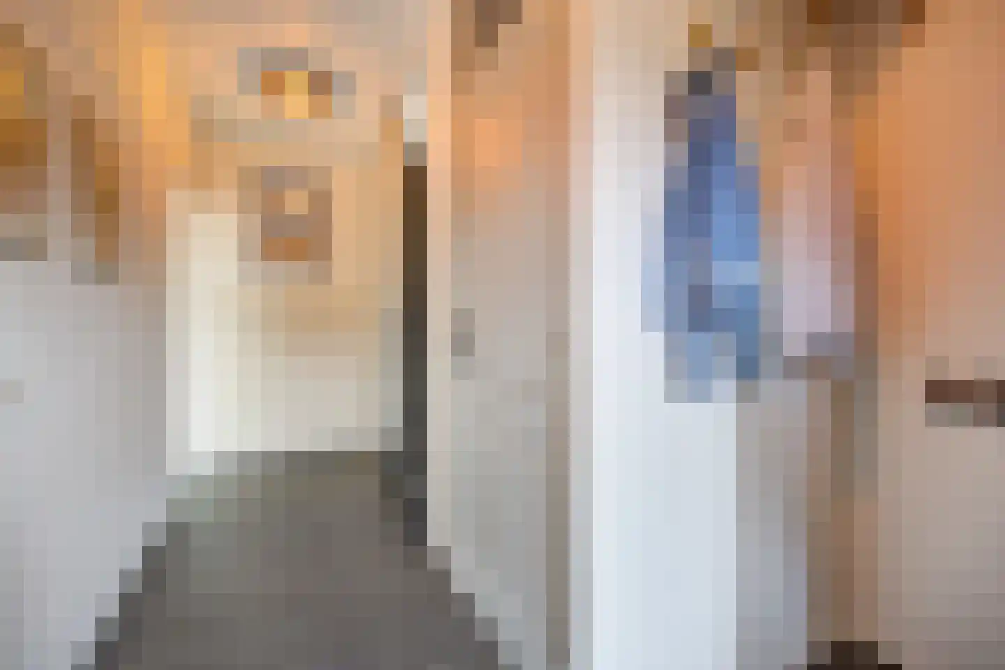 Tolhuislaan 14 Etten-Leur thumbnail 6