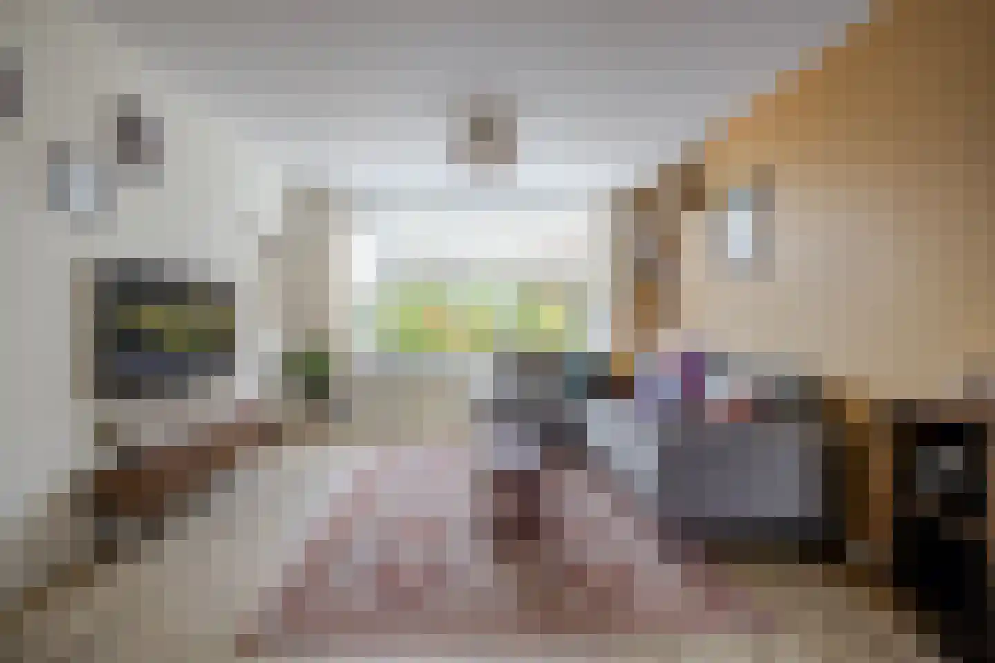 Tolhuislaan 14 Etten-Leur thumbnail 9