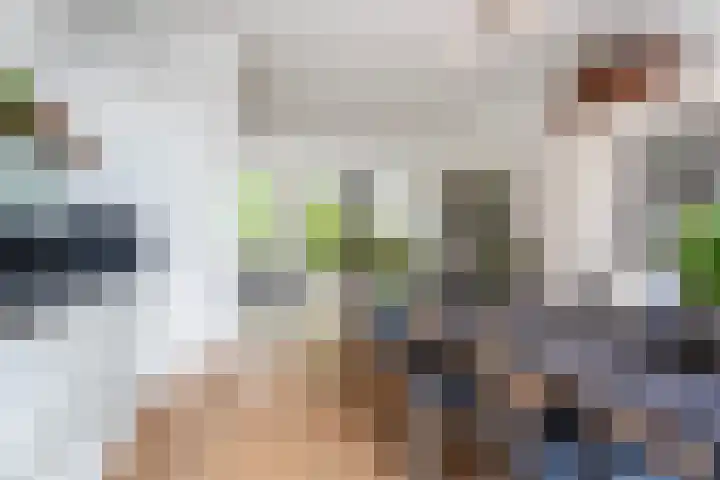 Tolhuislaan 153 Rotterdam thumbnail 12