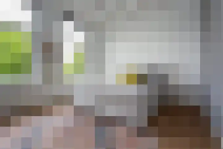 Tolhuislaan 153 Rotterdam thumbnail 14