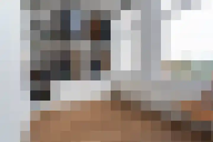 Tolhuislaan 153 Rotterdam thumbnail 16