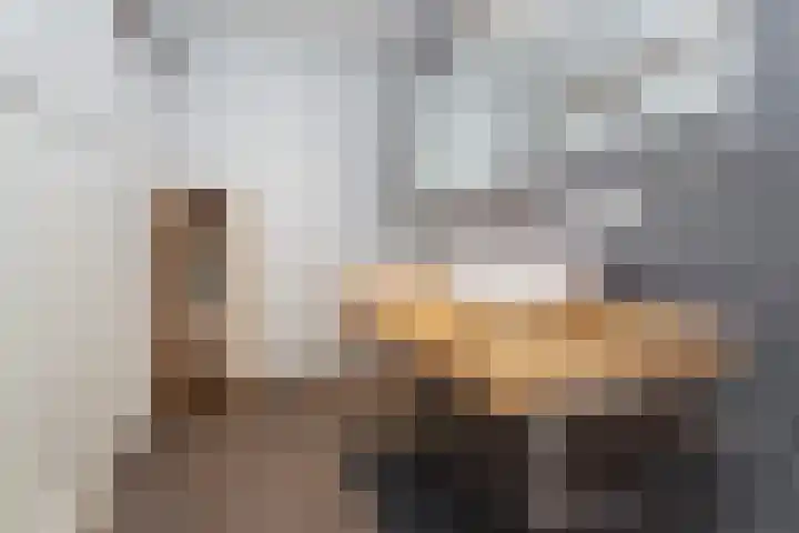 Tolhuislaan 153 Rotterdam thumbnail 18