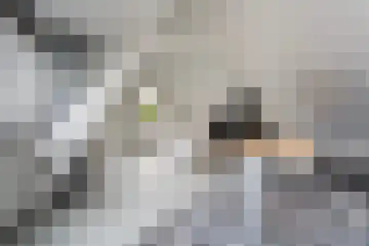 Tolhuislaan 153 Rotterdam thumbnail 22