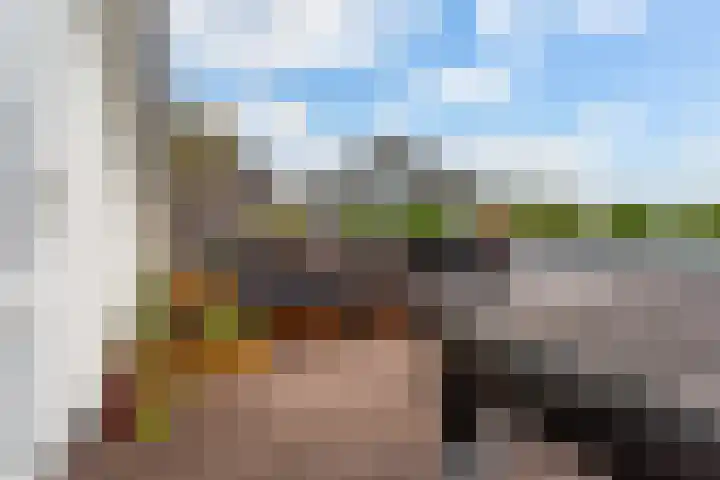 Tolhuislaan 153 Rotterdam thumbnail 25