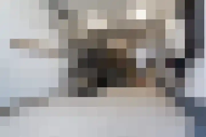 Tolhuislaan 153 Rotterdam thumbnail 31
