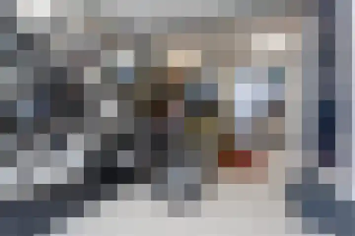 Tolhuislaan 153 Rotterdam thumbnail 34