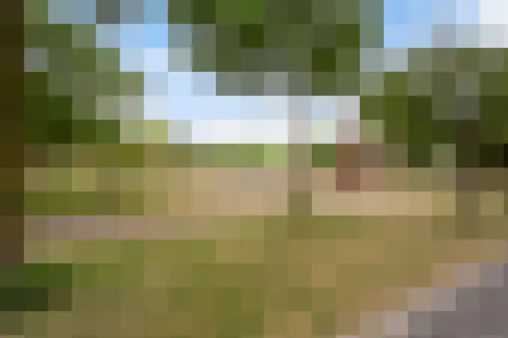 Tolhuislaan 153 Rotterdam thumbnail 36