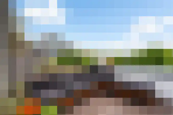 Tolhuislaan 153 Rotterdam thumbnail 4