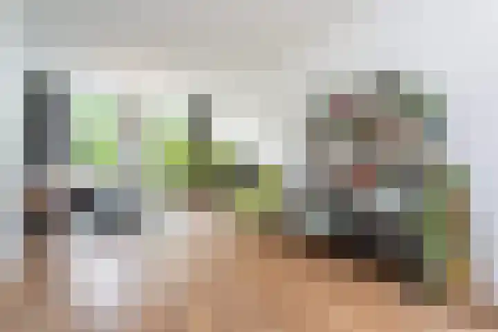 Tolhuislaan 153 Rotterdam thumbnail 6