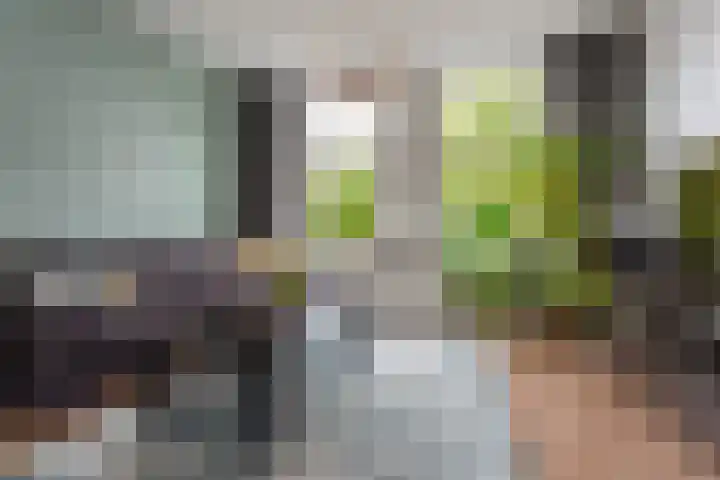 Tolhuislaan 153 Rotterdam thumbnail 7