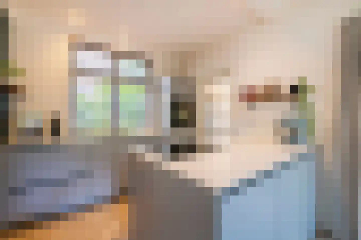 Tolhuislaan 2 Ede thumbnail 13
