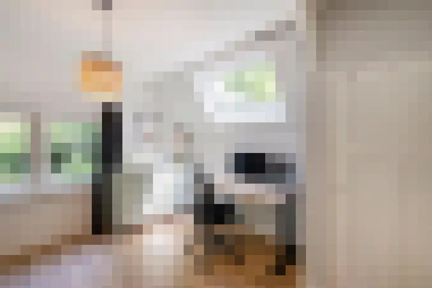 Tolhuislaan 2 Ede thumbnail 19
