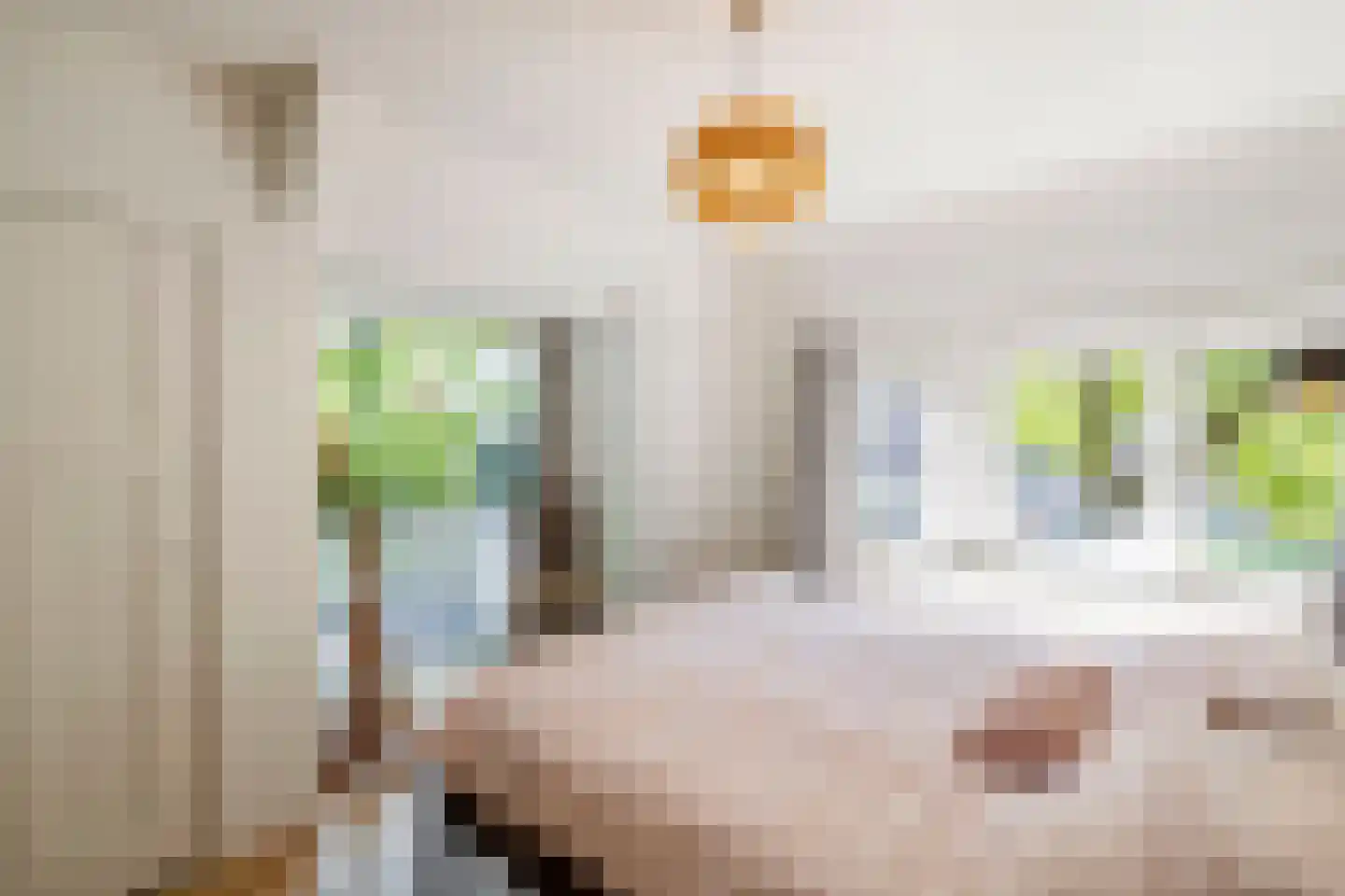 Tolhuislaan 2 Ede thumbnail 21