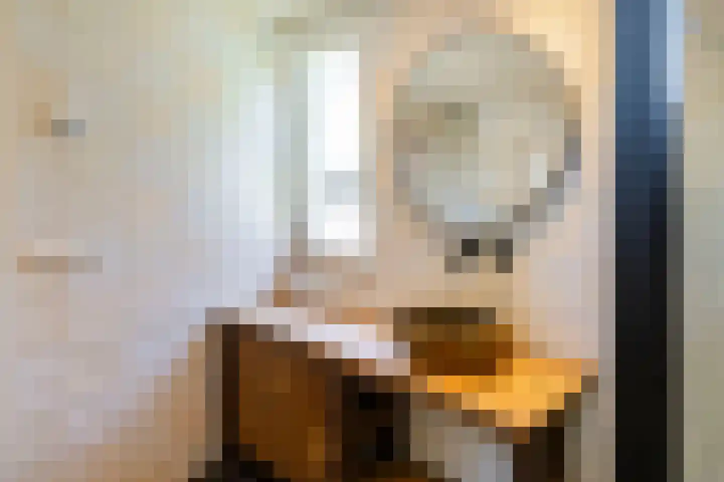 Tolhuislaan 2 Ede thumbnail 27