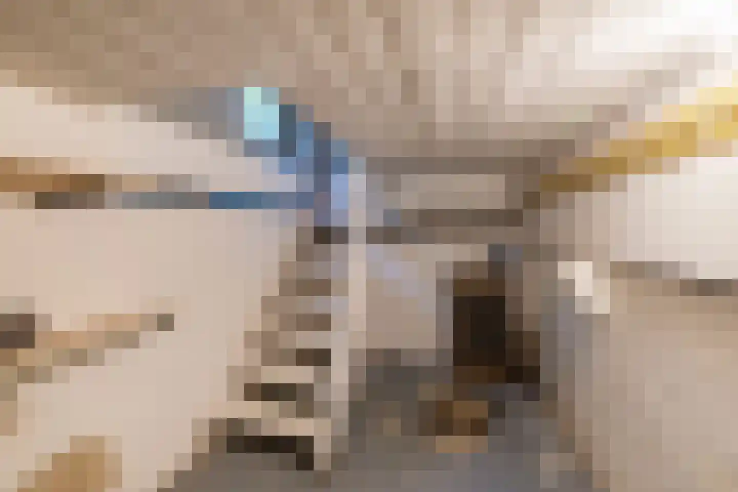 Tolhuislaan 2 Ede thumbnail 33