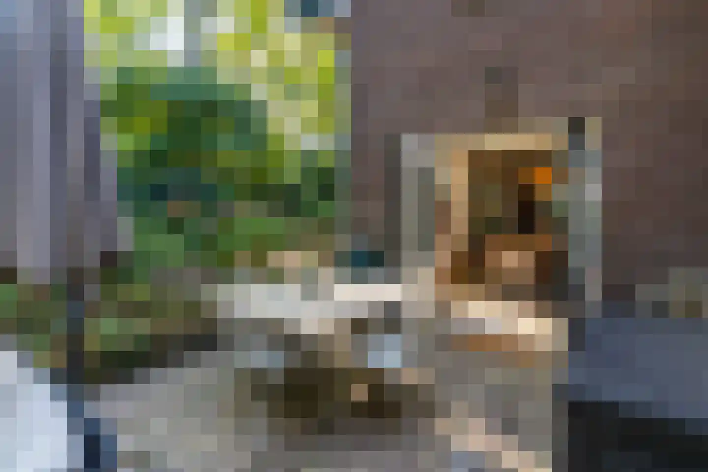 Tolhuislaan 2 Ede thumbnail 35
