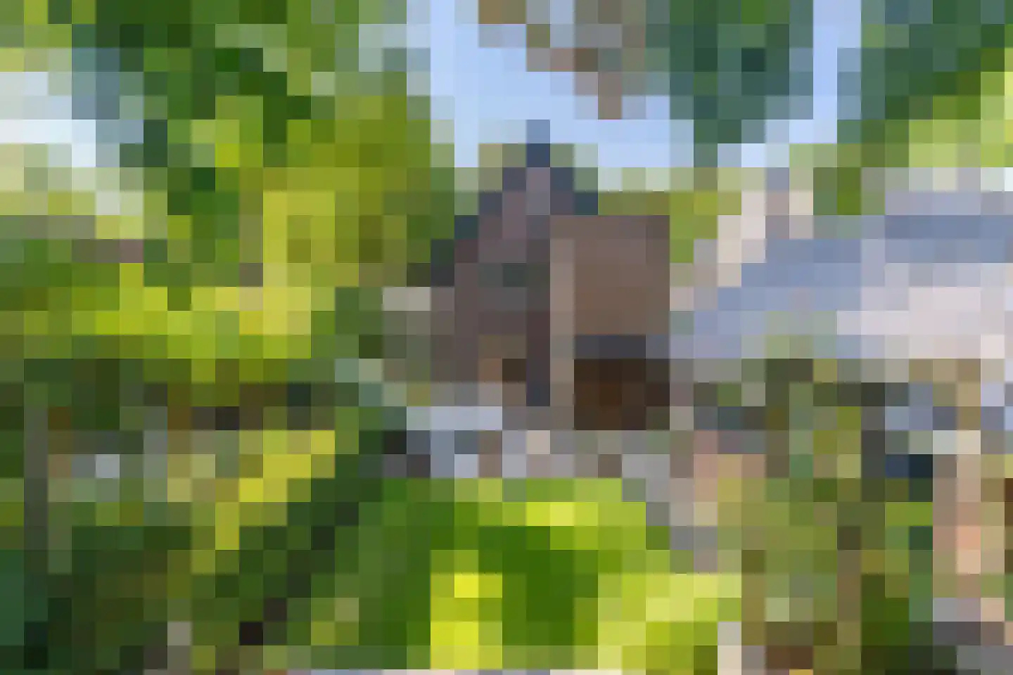 Tolhuislaan 2 Ede thumbnail 36