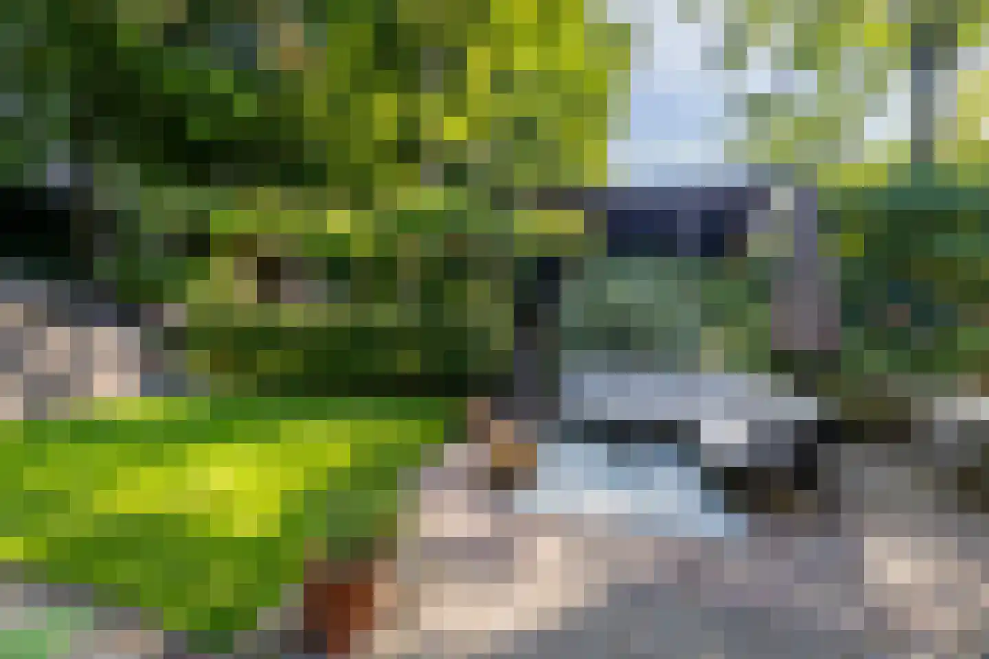 Tolhuislaan 2 Ede thumbnail 38
