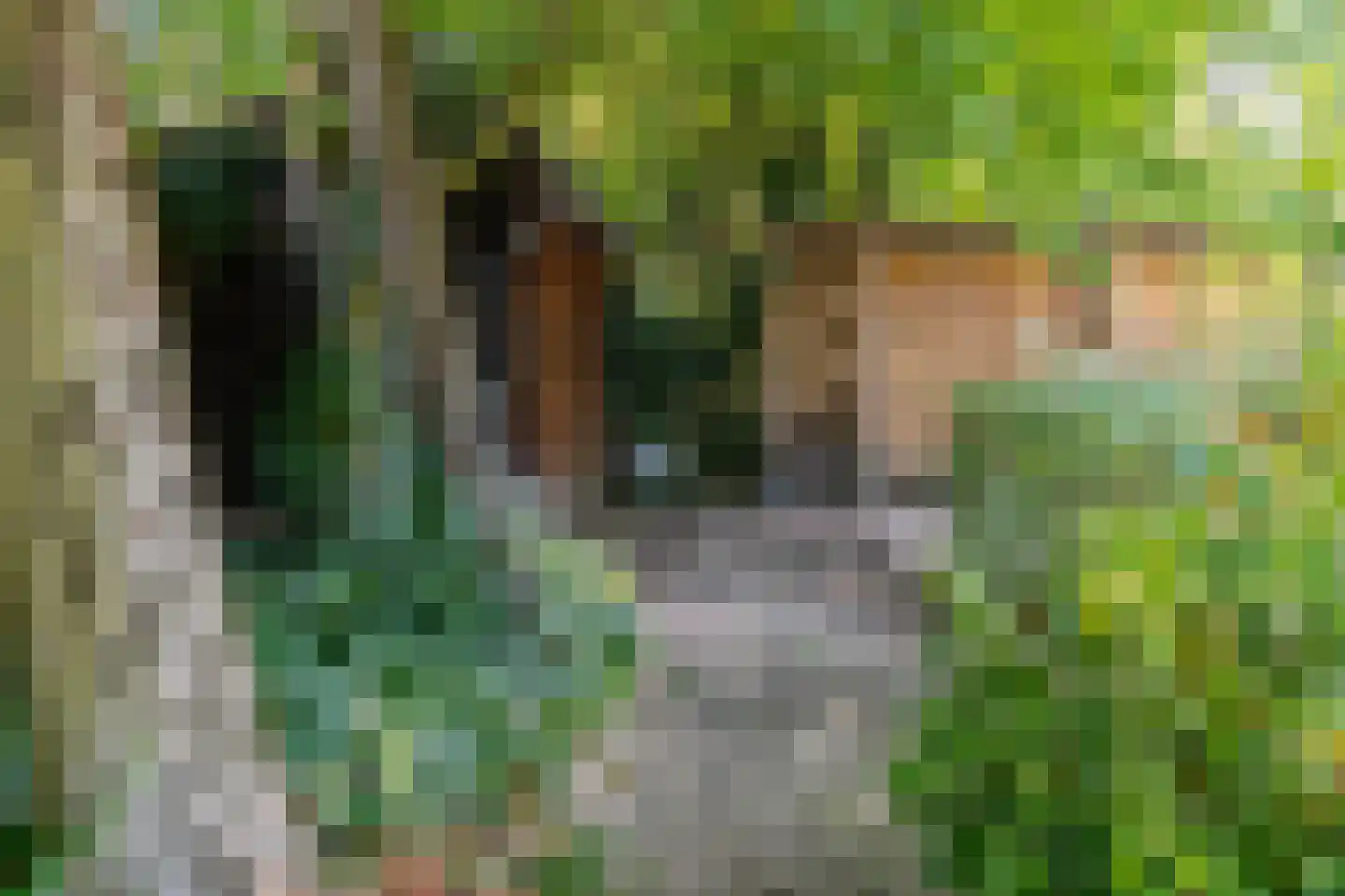 Tolhuislaan 2 Ede thumbnail 41