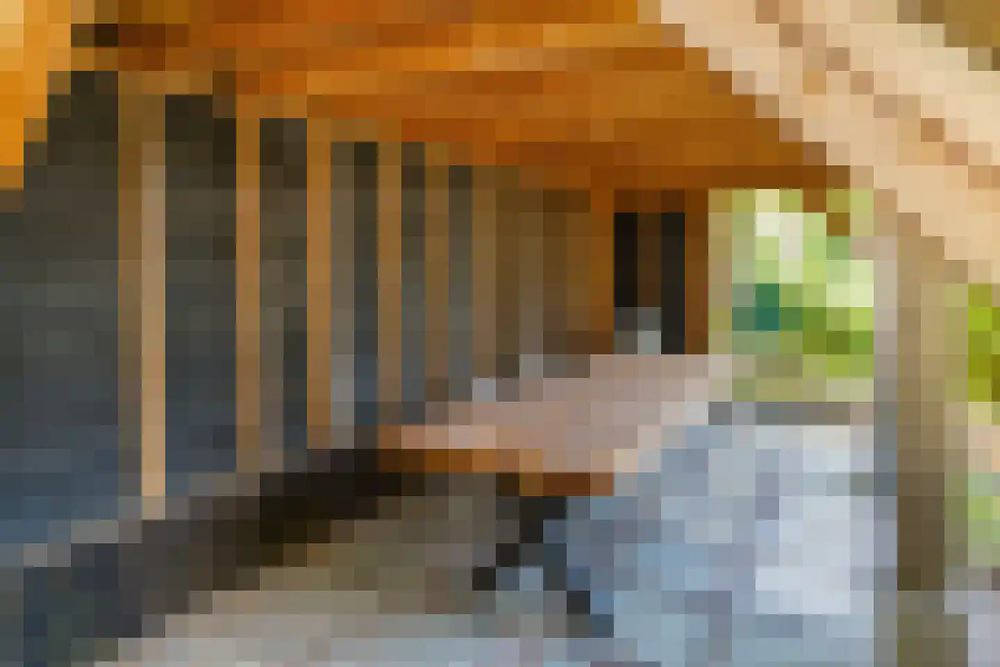 Tolhuislaan 2 Ede thumbnail 43