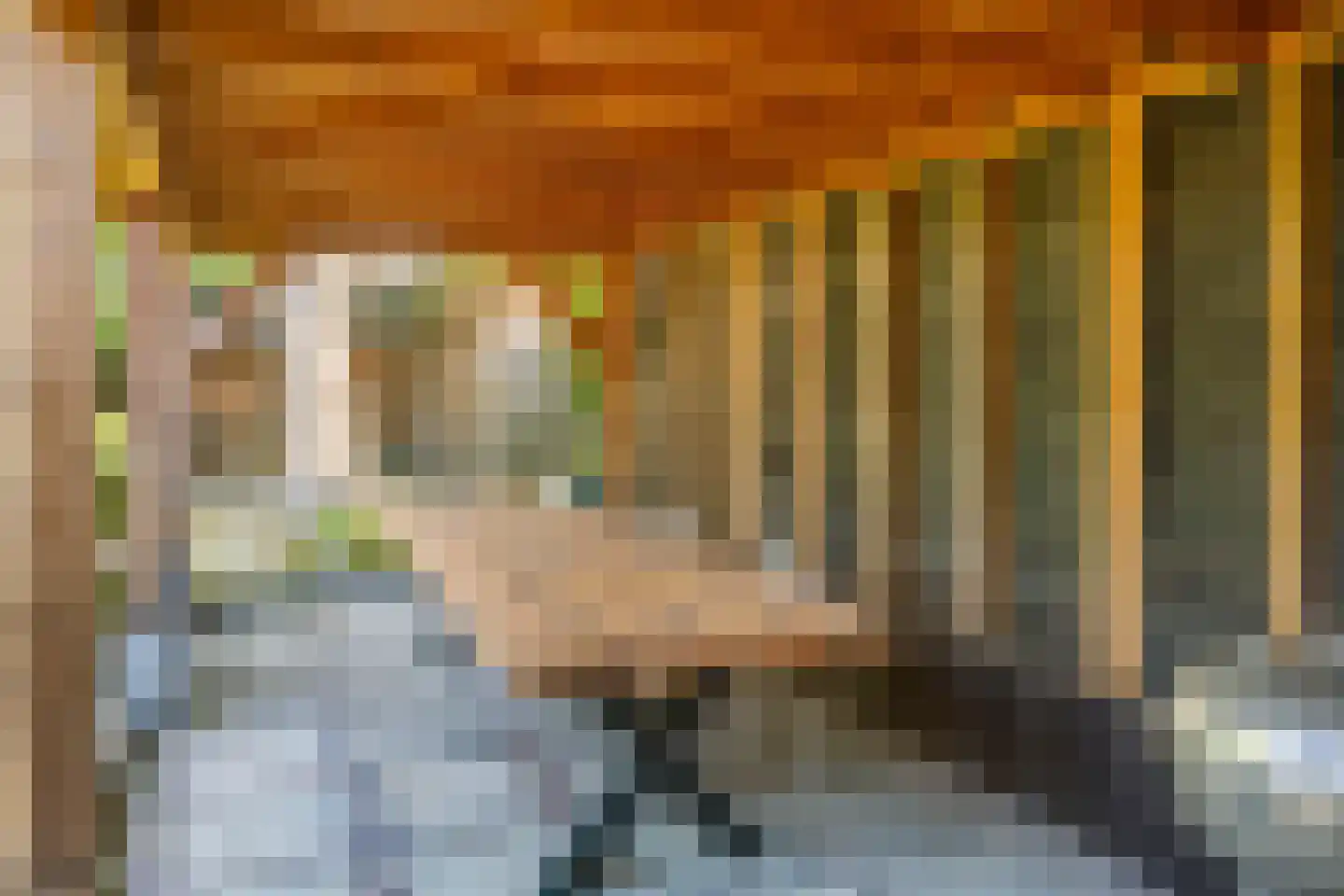 Tolhuislaan 2 Ede thumbnail 44