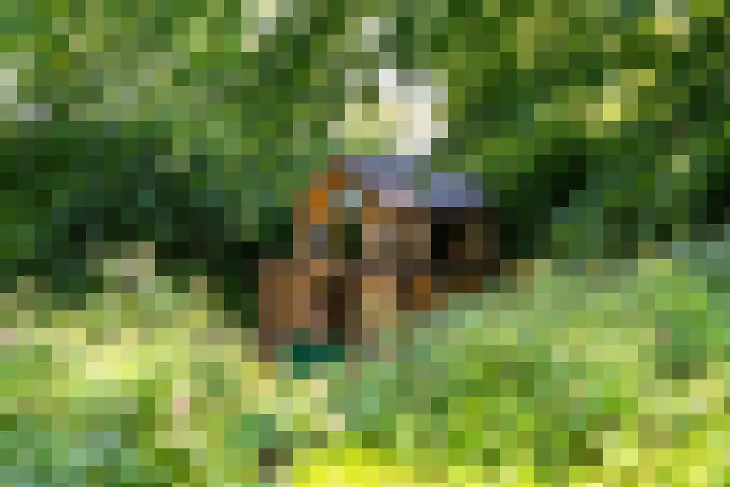Tolhuislaan 2 Ede thumbnail 45