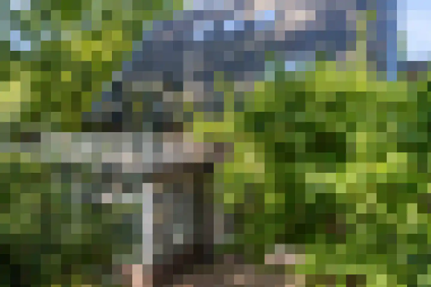 Tolhuislaan 2 Ede thumbnail 46