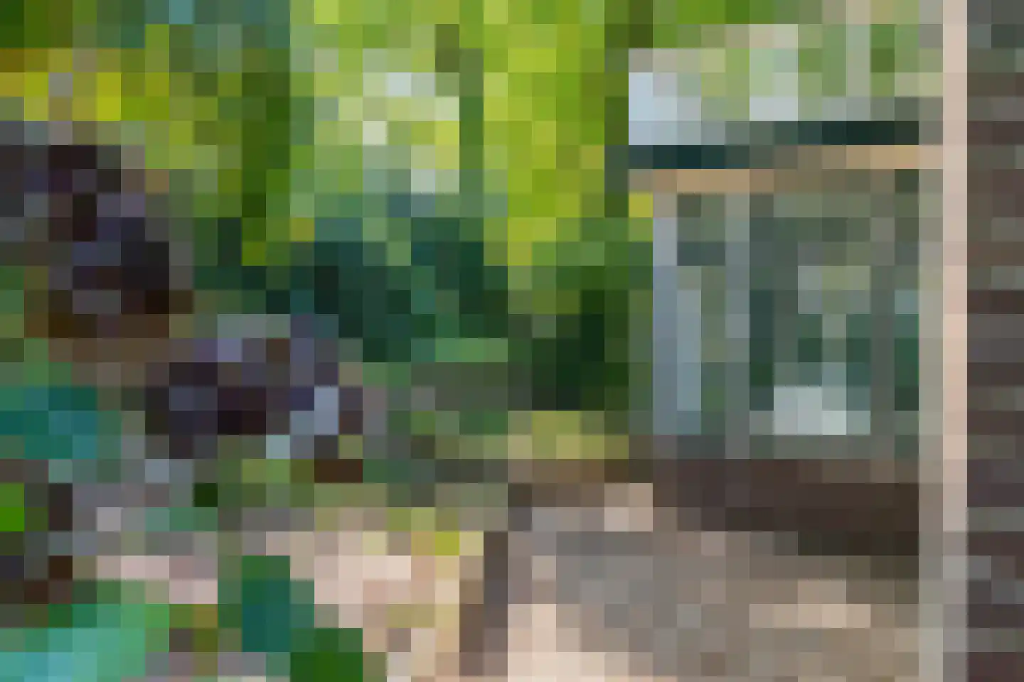 Tolhuislaan 2 Ede thumbnail 49