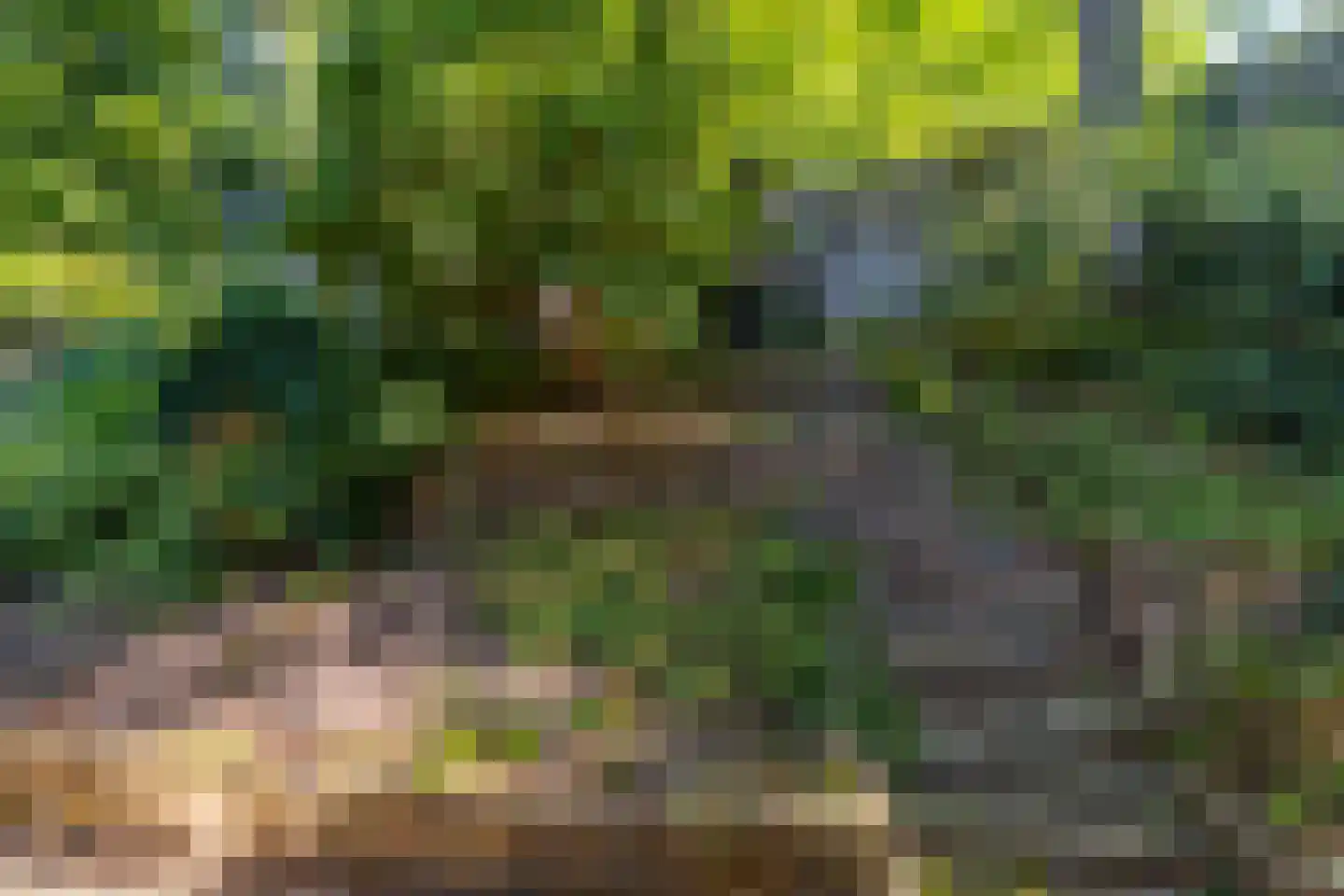 Tolhuislaan 2 Ede thumbnail 50