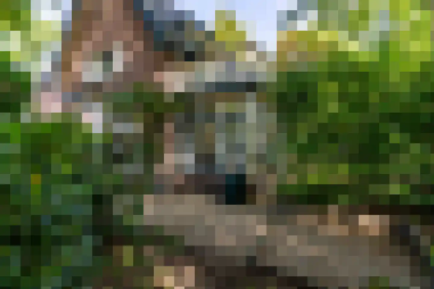 Tolhuislaan 2 Ede thumbnail 51