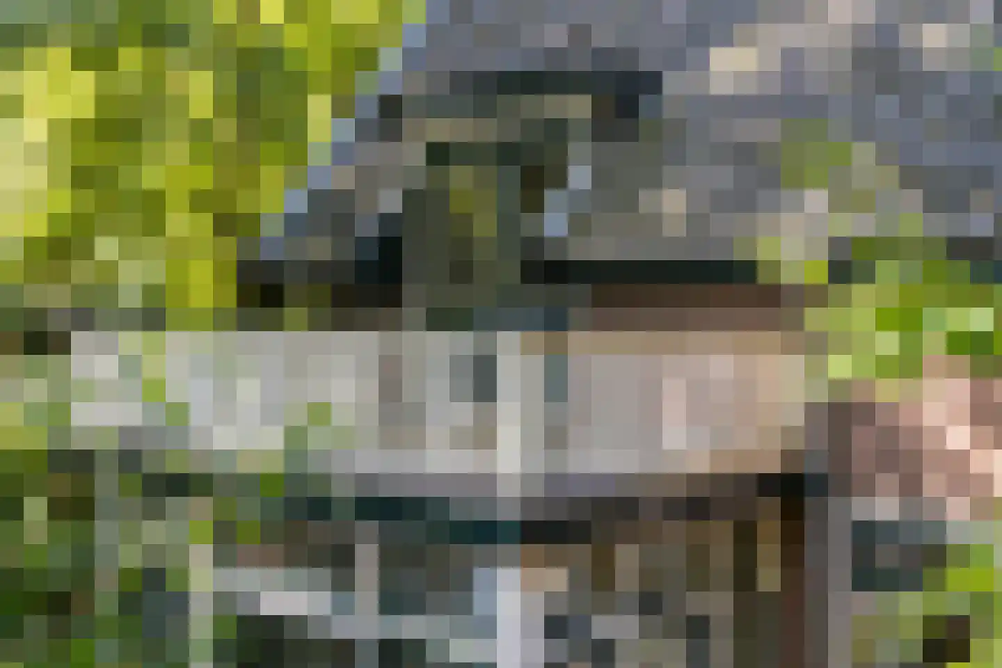Tolhuislaan 2 Ede thumbnail 52