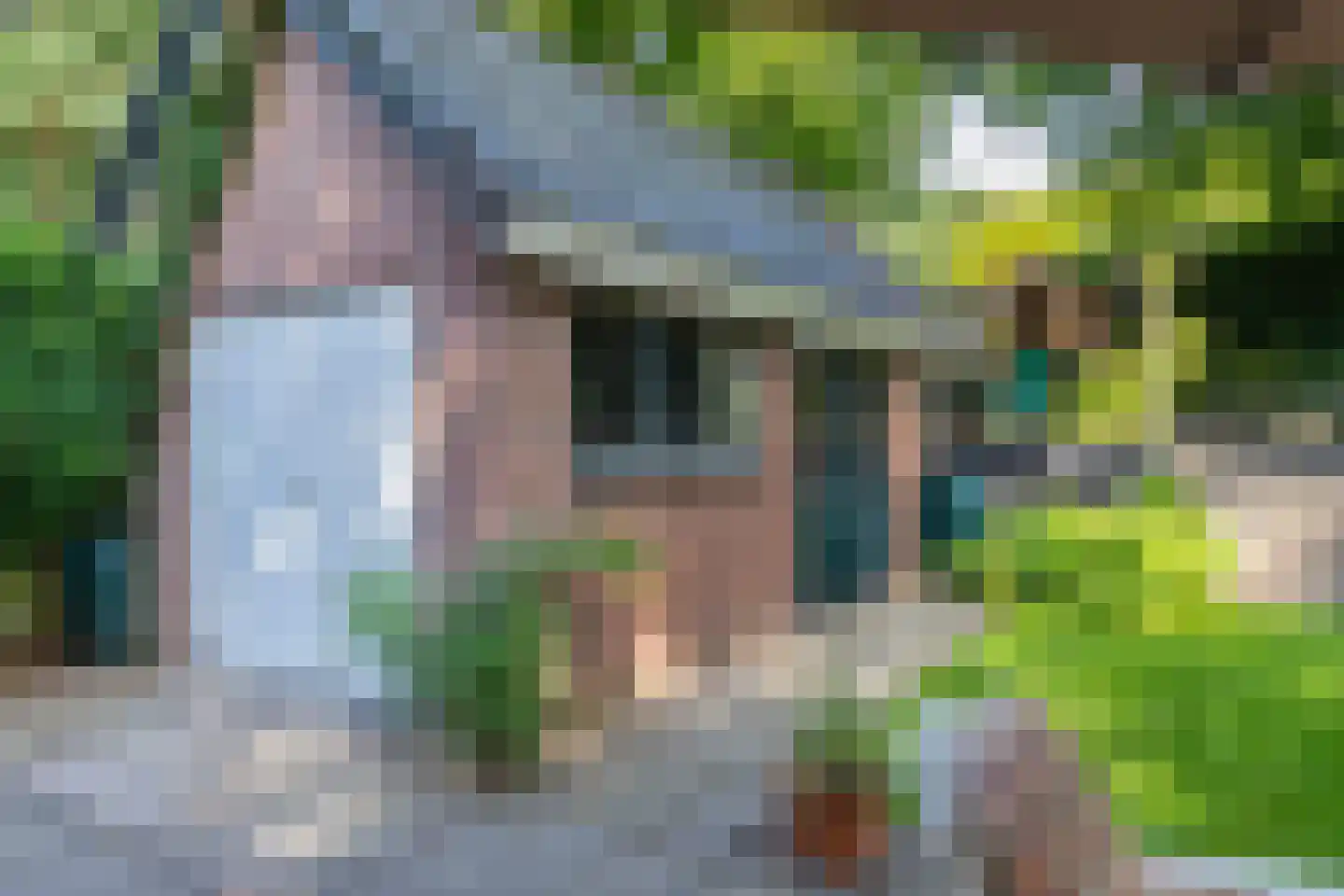Tolhuislaan 2 Ede thumbnail 56