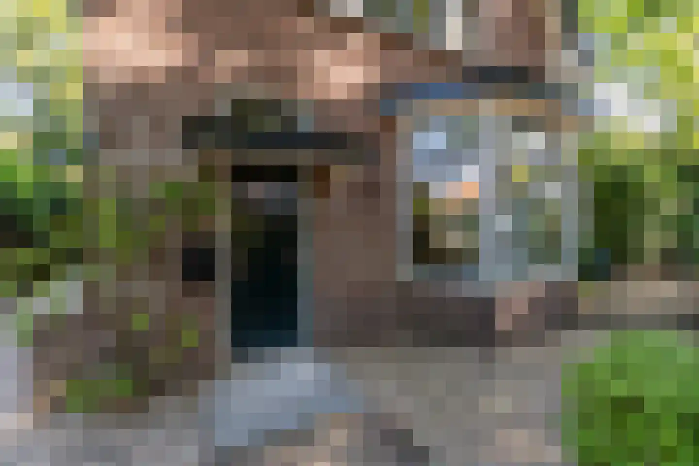 Tolhuislaan 2 Ede thumbnail 58