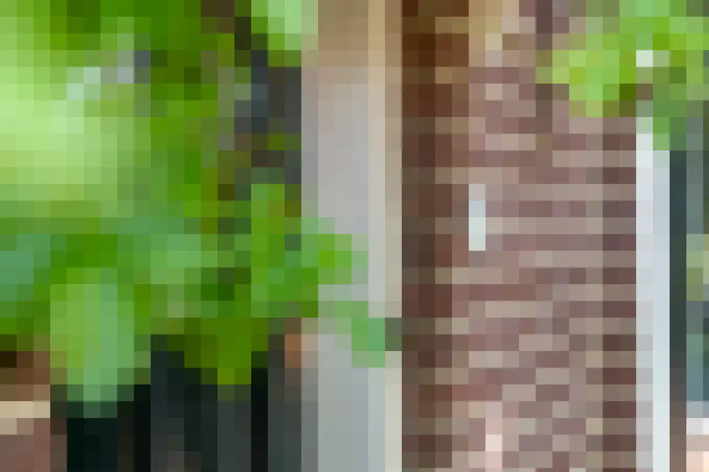 Tolhuislaan 2 Ede thumbnail 59