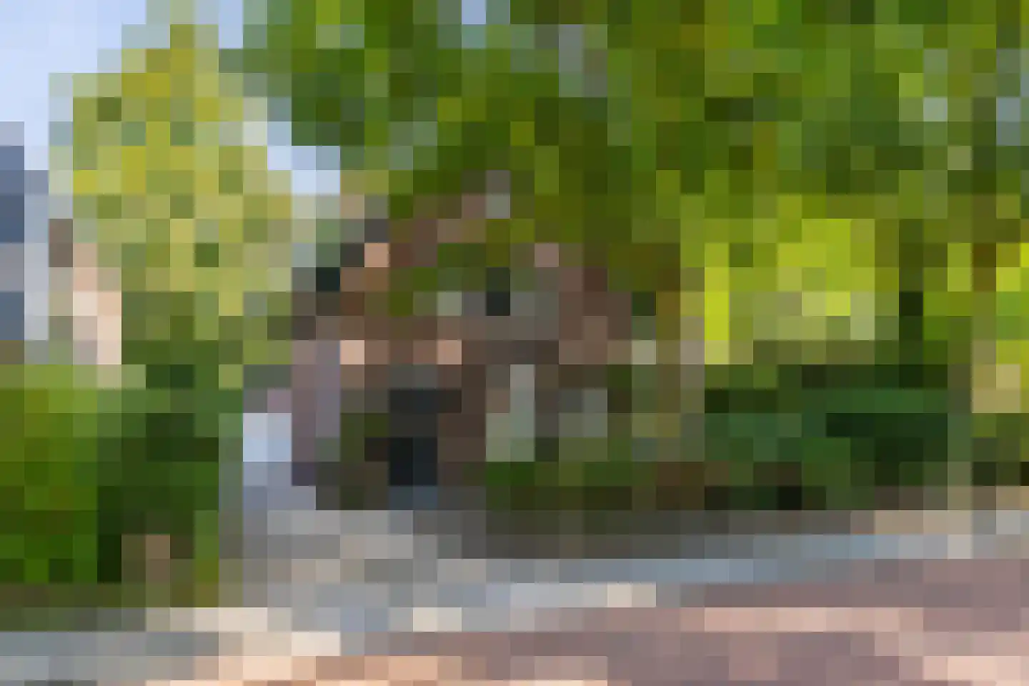 Tolhuislaan 2 Ede thumbnail 60