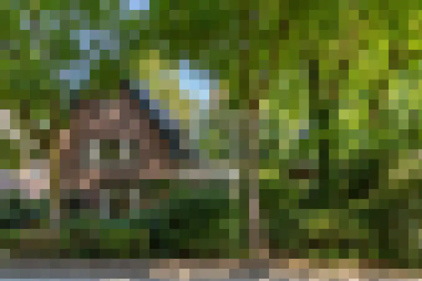 Tolhuislaan 2 Ede thumbnail 61