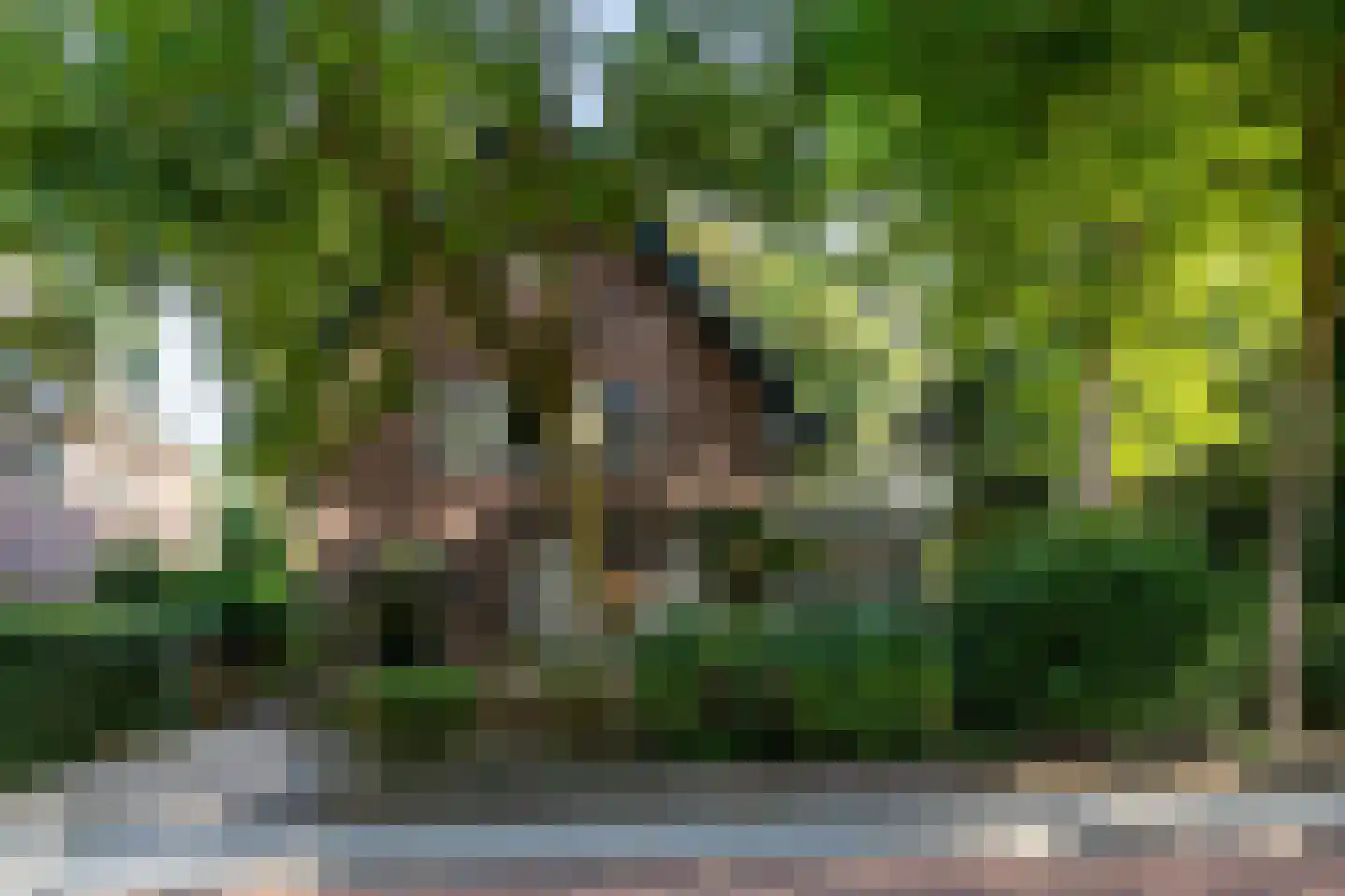 Tolhuislaan 2 Ede thumbnail 62