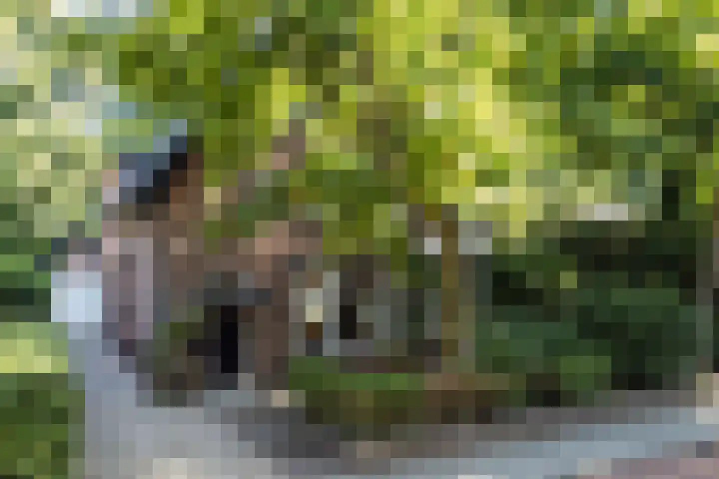 Tolhuislaan 2 Ede thumbnail 63