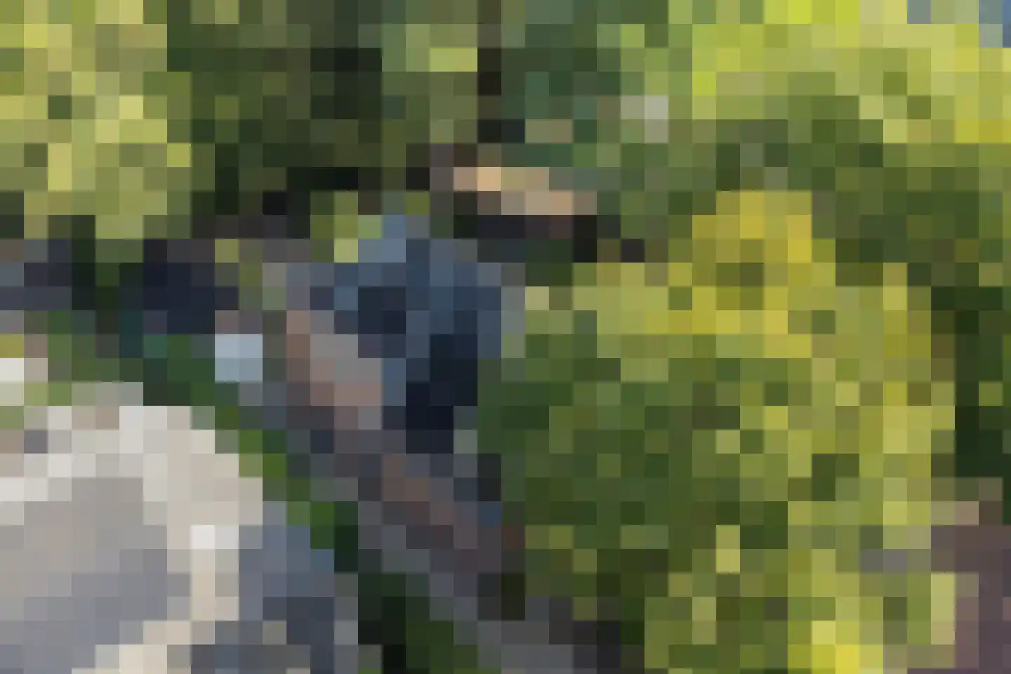 Tolhuislaan 2 Ede thumbnail 64