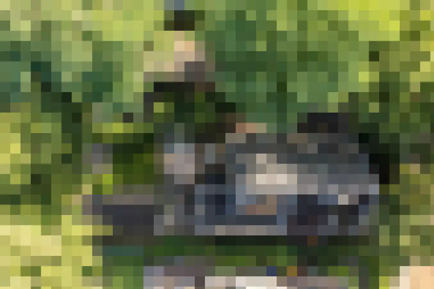 Tolhuislaan 2 Ede thumbnail 65