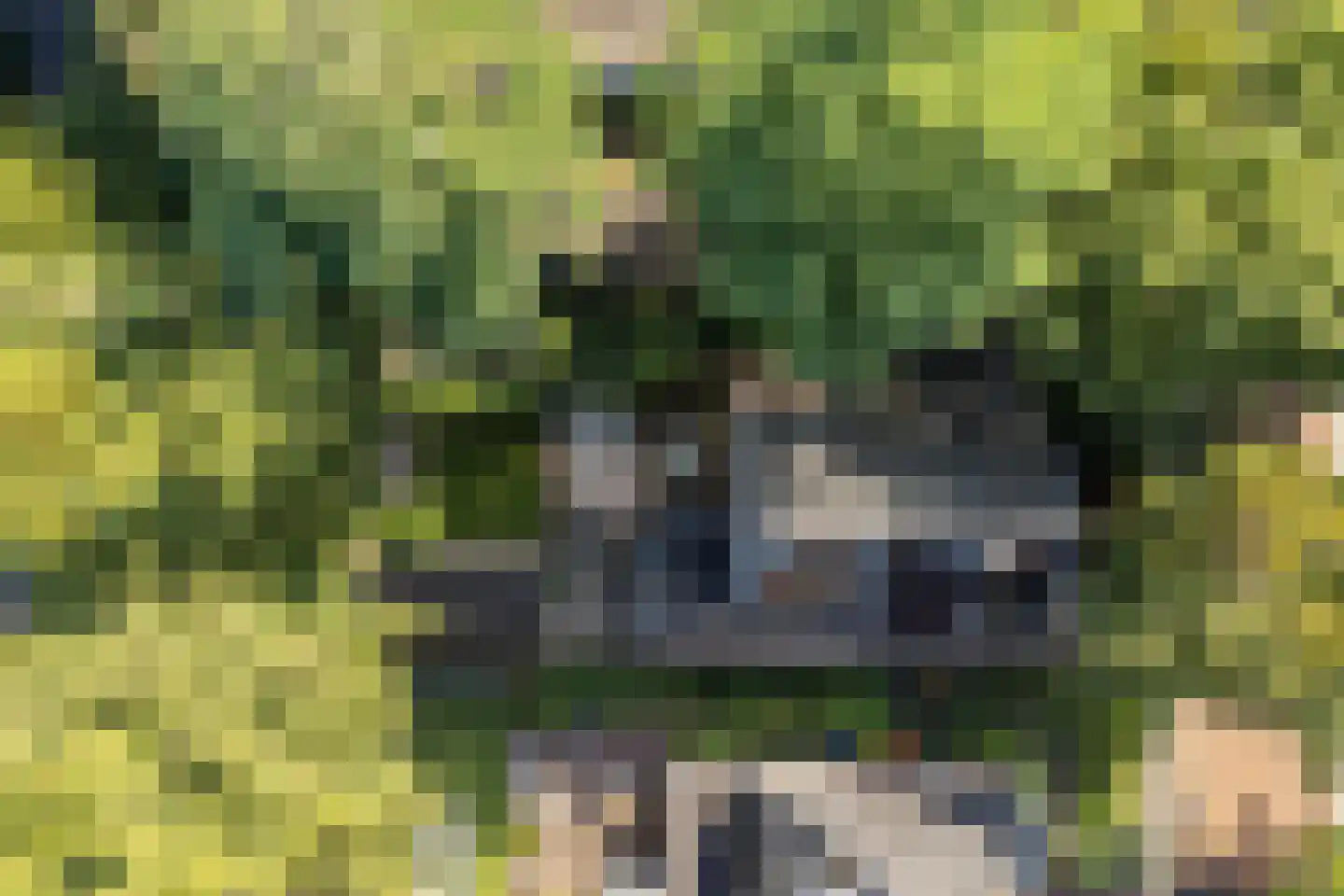 Tolhuislaan 2 Ede thumbnail 66