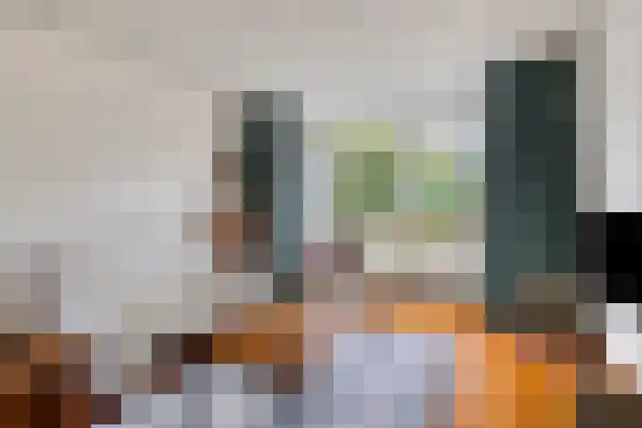 Tolhuislaan 22 Etten-Leur thumbnail 12
