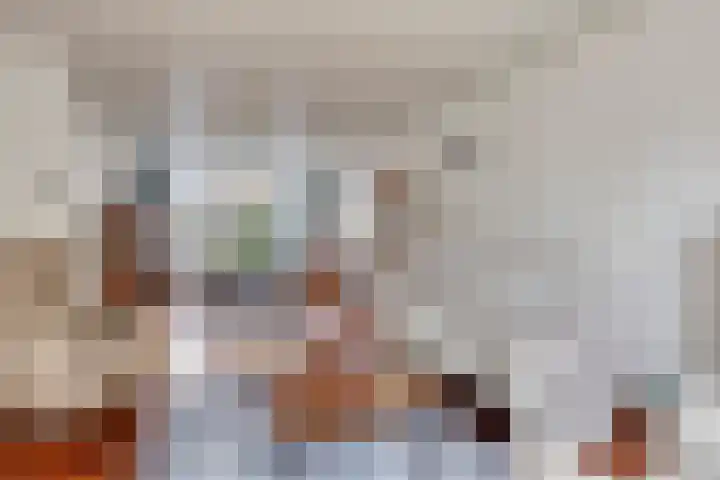 Tolhuislaan 22 Etten-Leur thumbnail 13